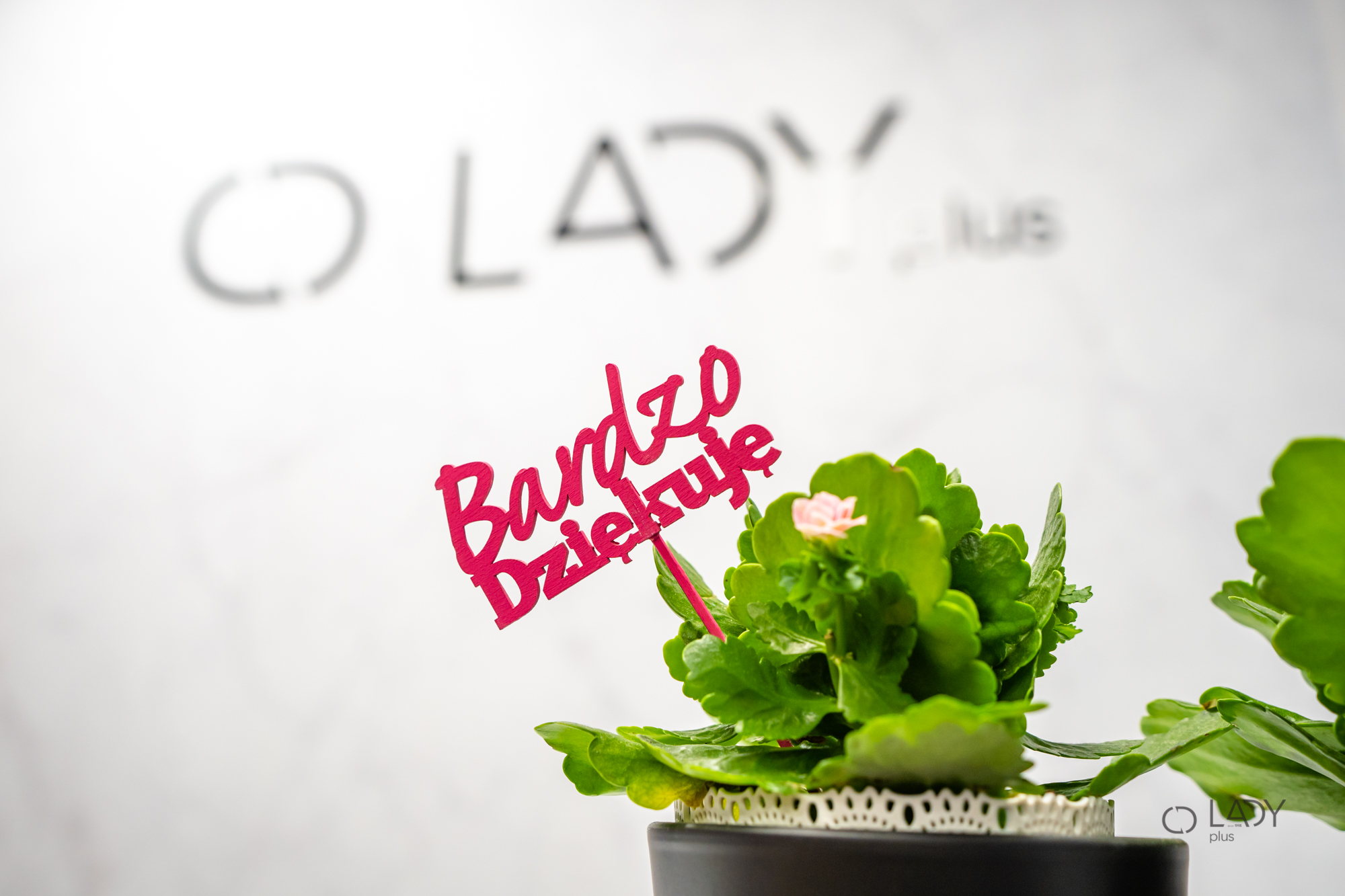 Butiky XL dámske oblečenie vo veľkých veľkostiach tehotenské oblečenie Rzeszów Poľsko